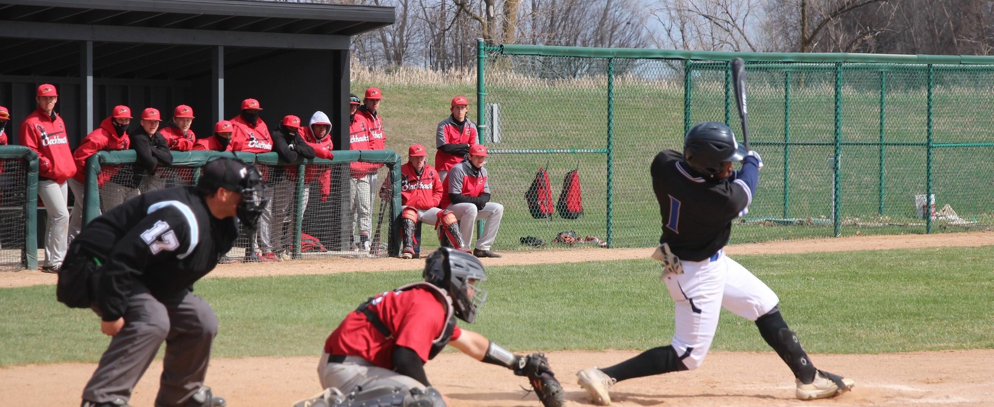 Lakers Drop Two Games Against Tigers