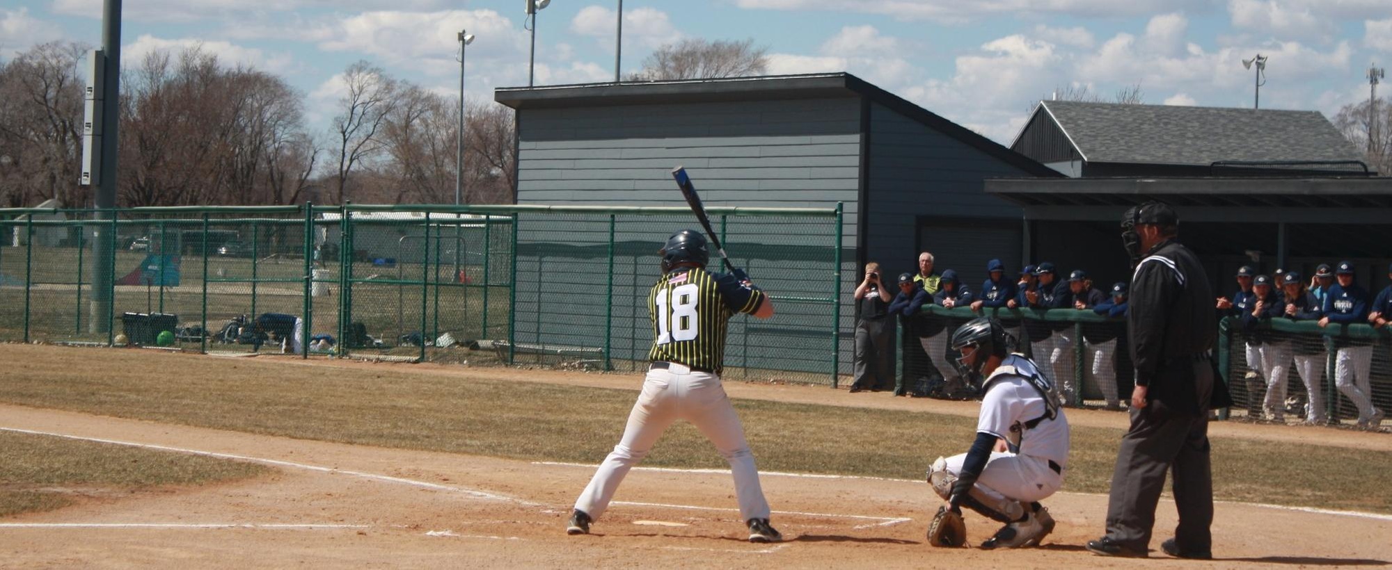 Lakers split with Tigers
