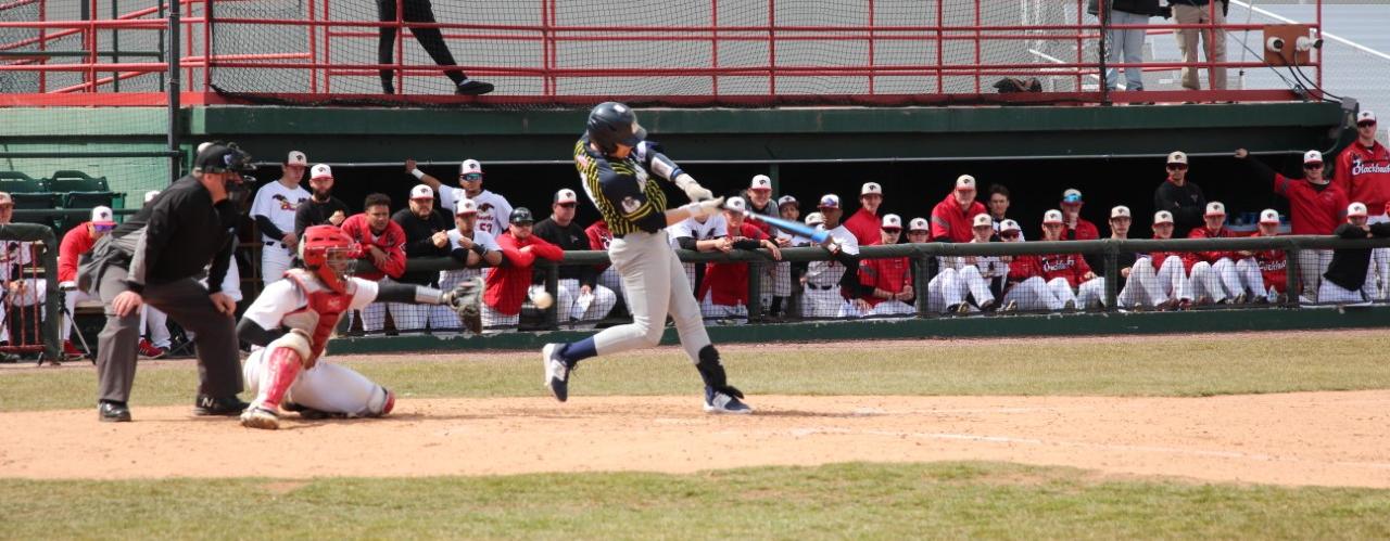 Iowa Lakes Baseball Dropped series to Southeastern CC.