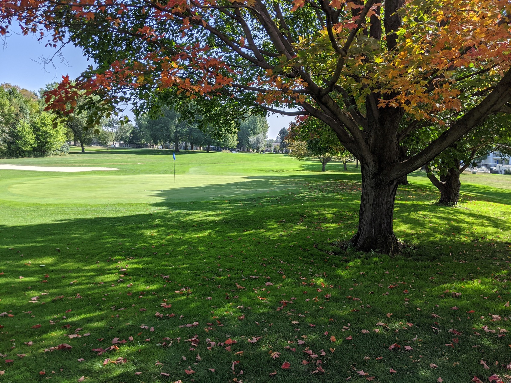 Lakers Split at Quad Cup