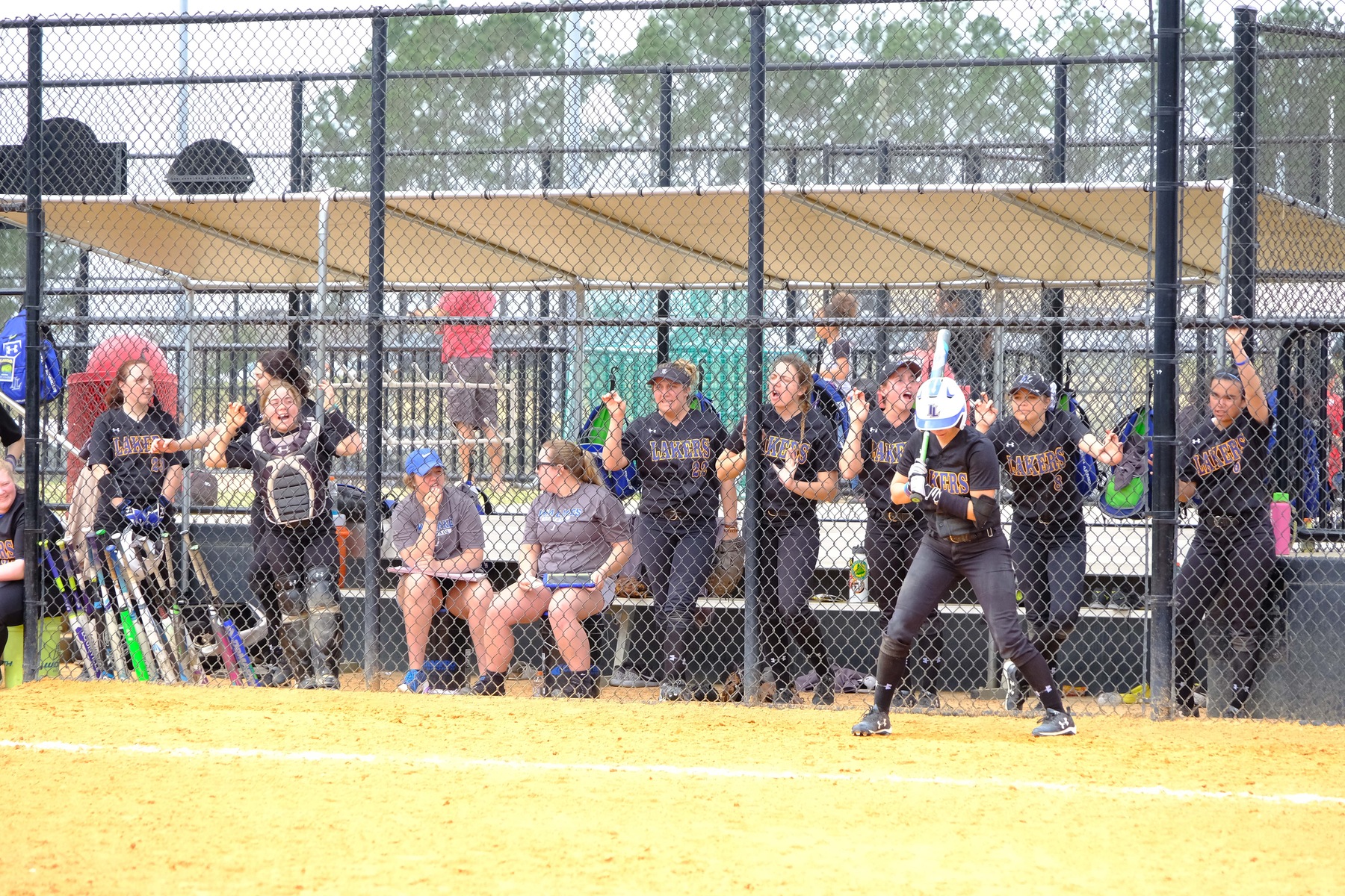 Softball Weekend Recap