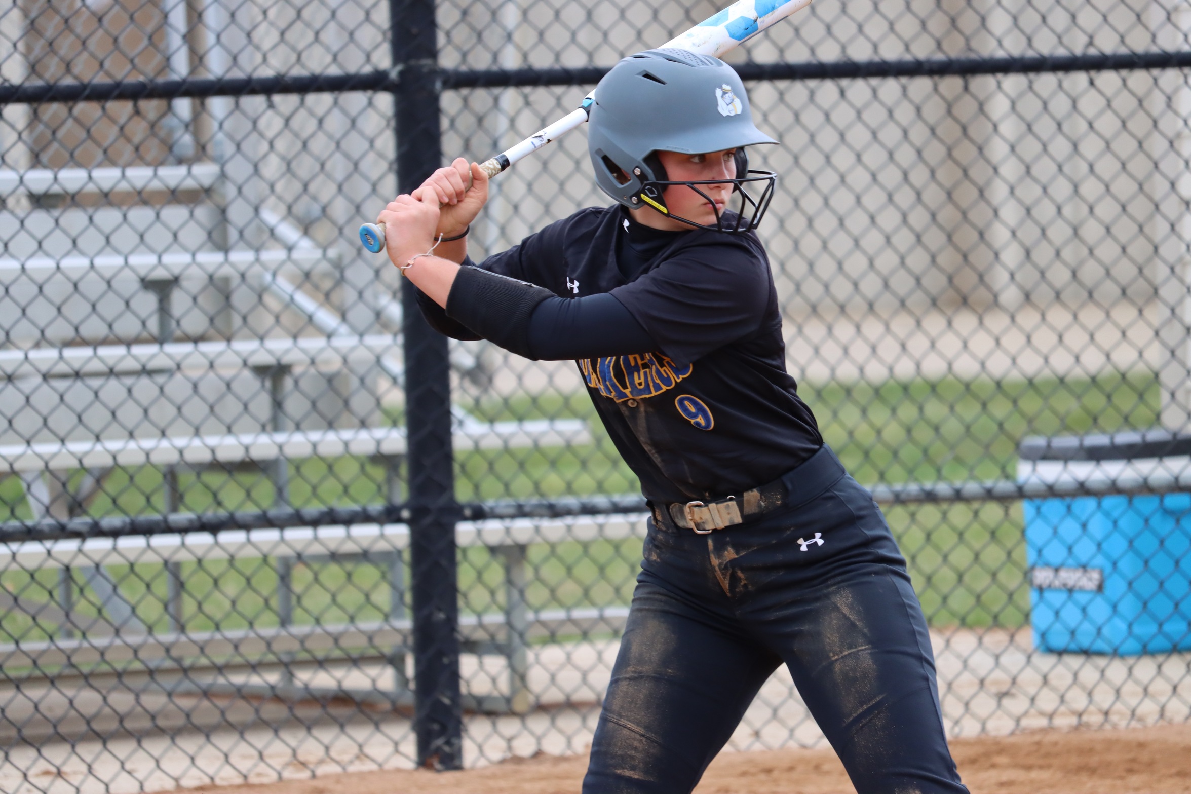 Laker Softball Drop Two to #10 DMACC