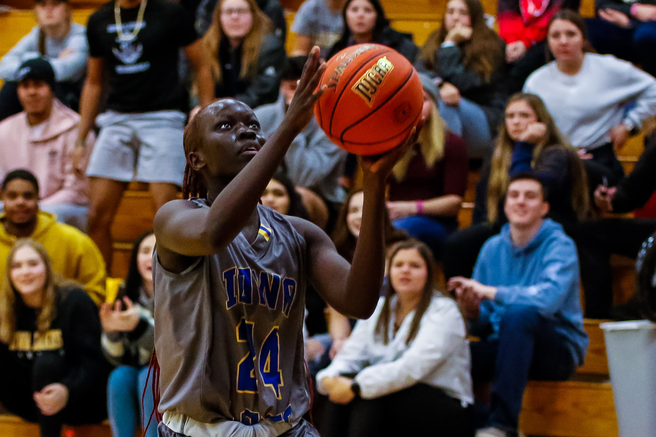 Iowa Lakes Falls to Southeastern