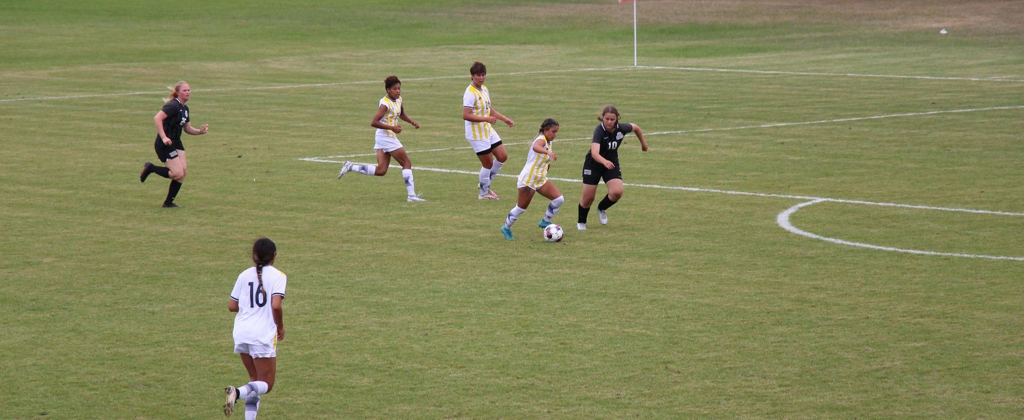 Lakers Fall Short To Iowa Central